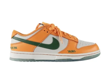 Nike Dunk Low FAMU Replica DR6188-800