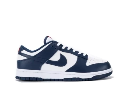 Nike Dunk Low Valerian Blue Replica DD1391-400