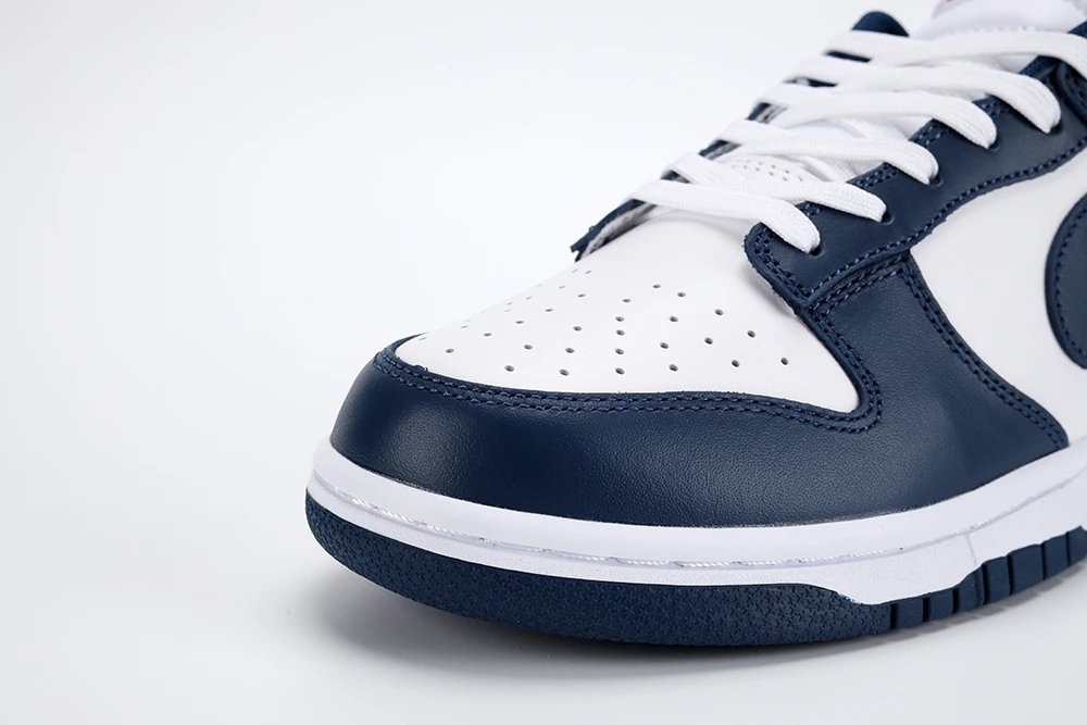 Nike Dunk Low Valerian Blue Replica DD1391-400 - Image 5