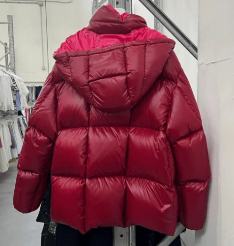 YESKICKS Moncler 23 FW Long Sleeve Solid Color Hooded Down Jacket For Women - Image 2