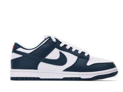 Nike Dunk Low Valerian Blue Quality Replica DD1391-400